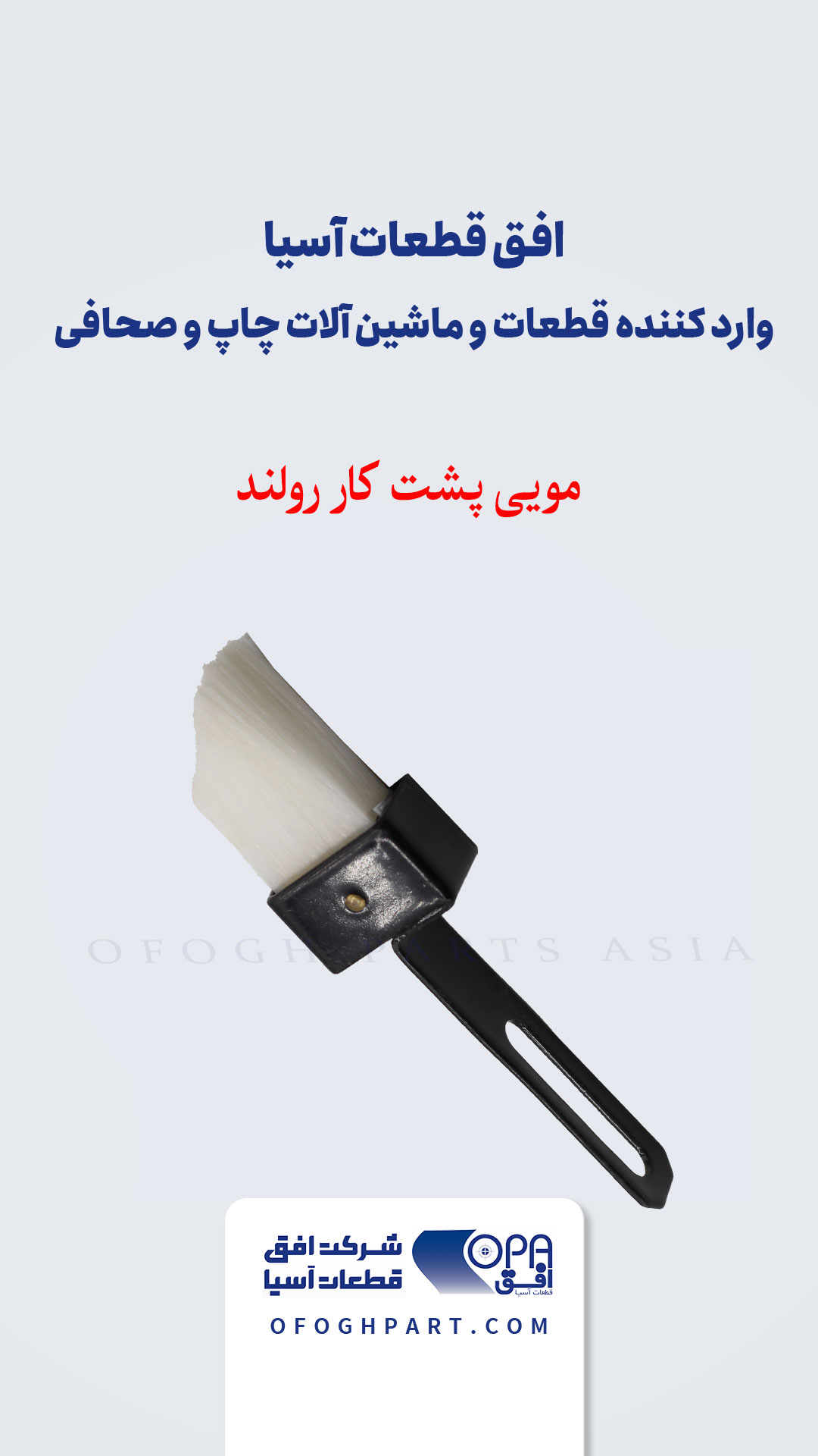 مویی پشت کار رولند